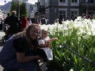 Nice Flowers...