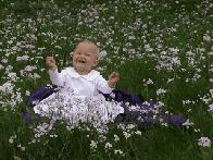Flowers Eveywhere...
