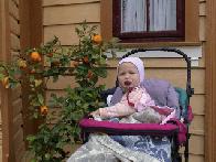 Oranges In Norway...